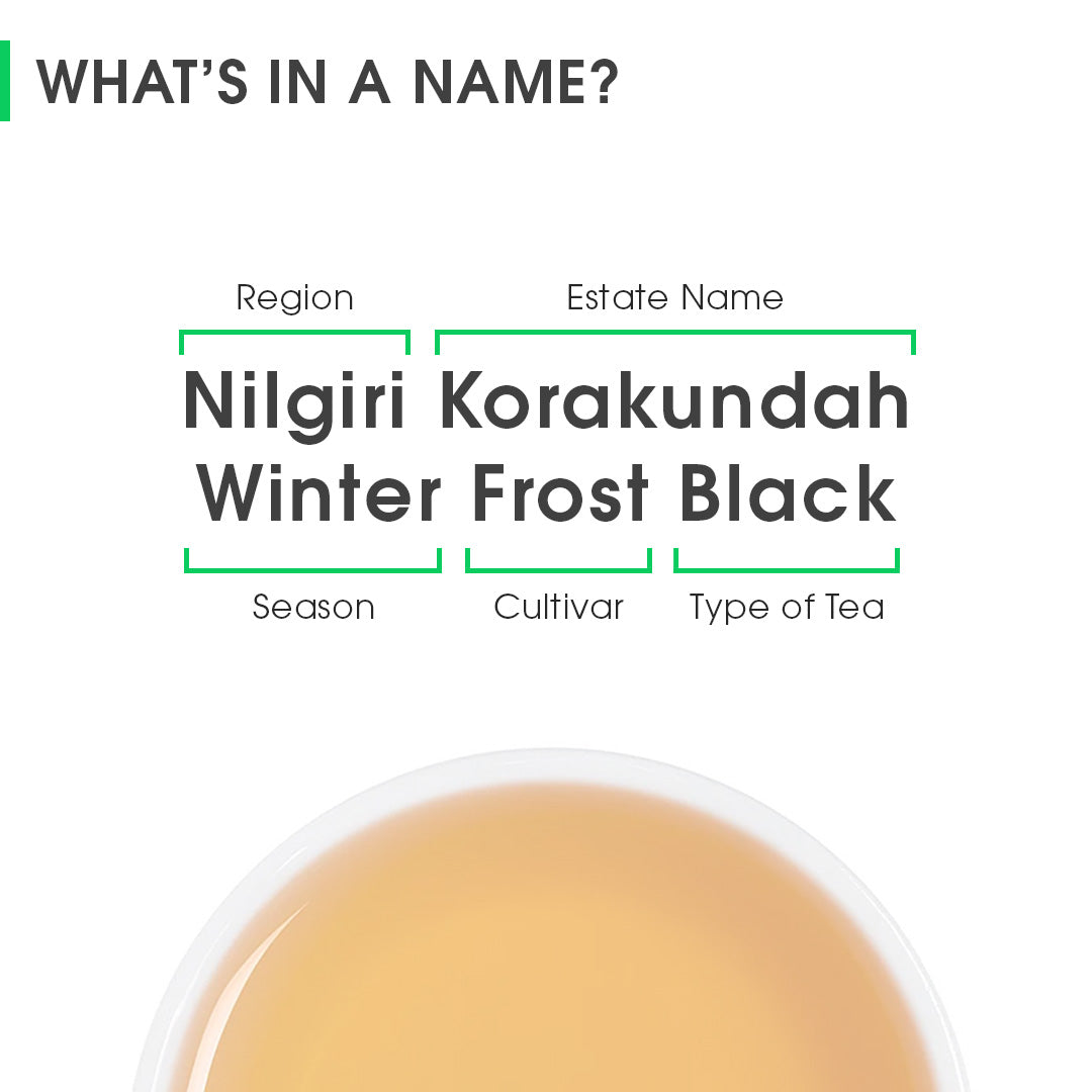 Nilgiri Korakundah Winter Frost Black