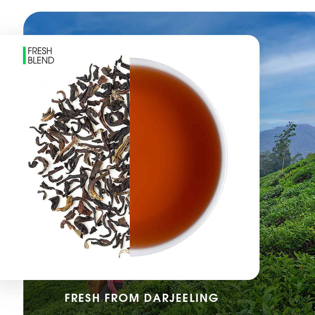 Teabox Roasted Darjeeling Black